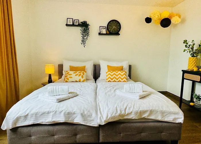 Black&yellow 24h Check In Wlan Parkplatz Oepnv Apartment *