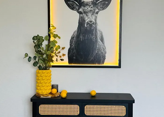 Black&yellow 24h Check In Wlan Parkplatz Oepnv * Bielefeld